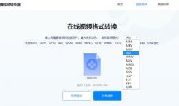 常用视频格式,掌握多媒体播放与传输的关键